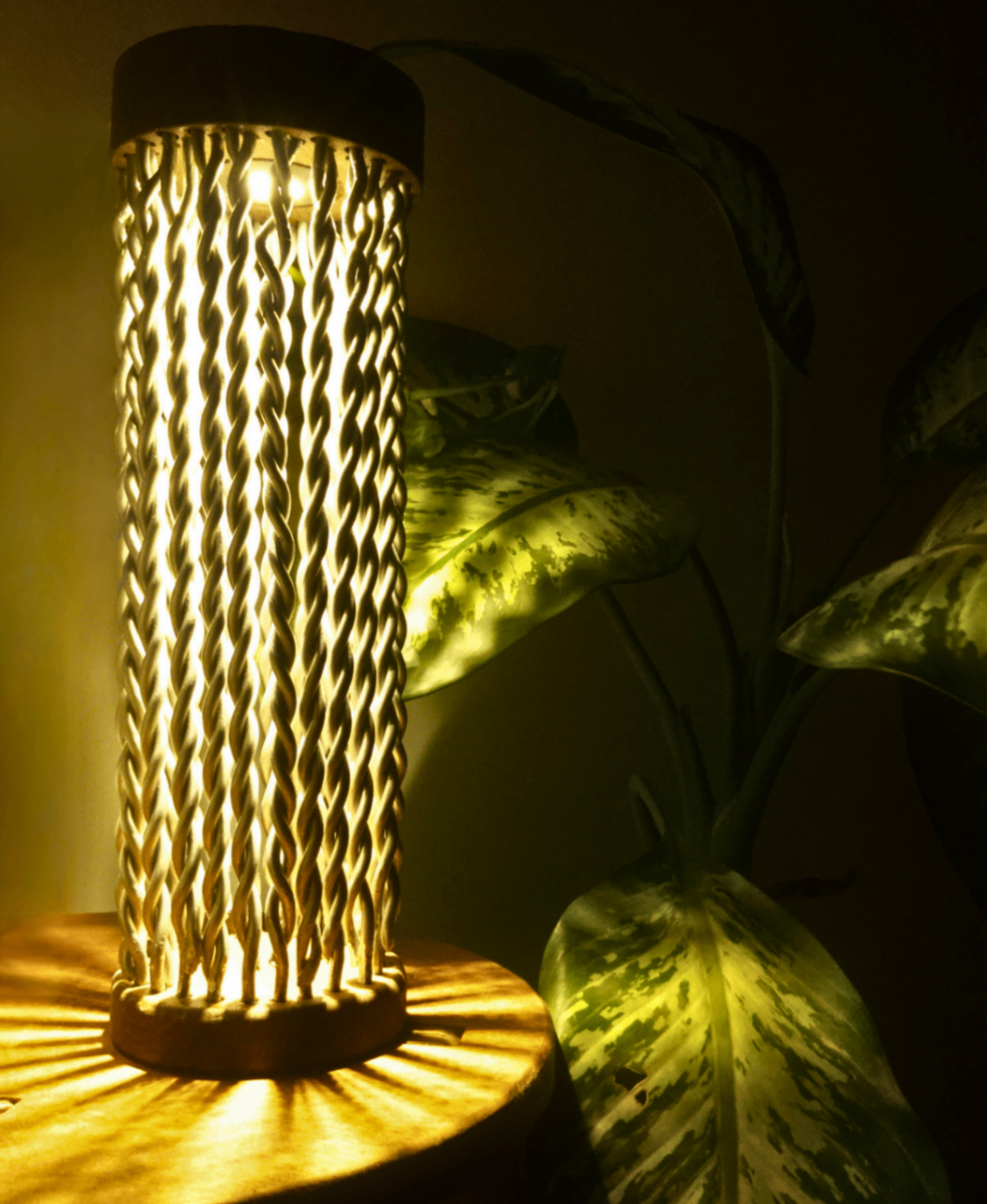 LUMOS lamp close-up next to a plant
